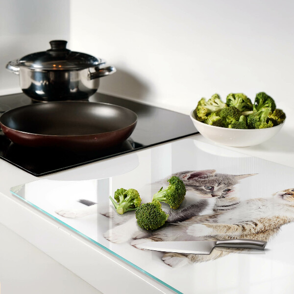 Tabla de cocina Gatos sobre un fondo blanco