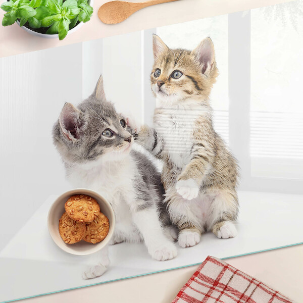 Tabla de cocina Gatos sobre un fondo blanco