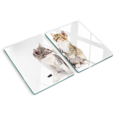 Tabla de cocina Gatos sobre un fondo blanco