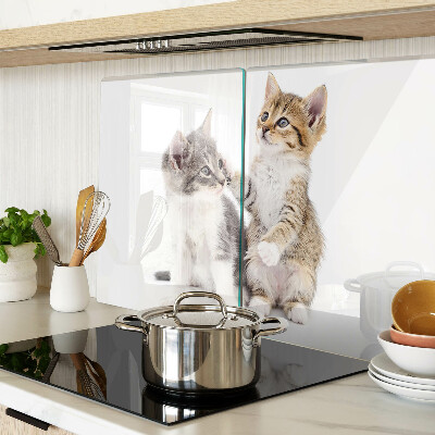 Tabla de cocina Gatos sobre un fondo blanco