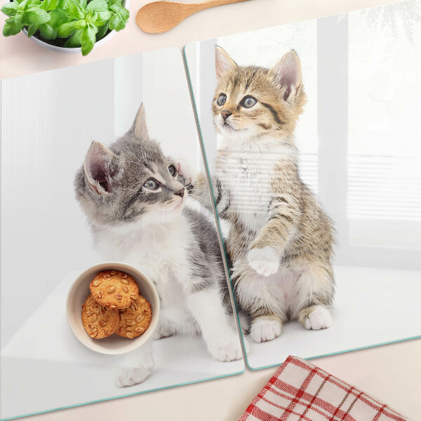 Tabla de cocina Gatos sobre un fondo blanco