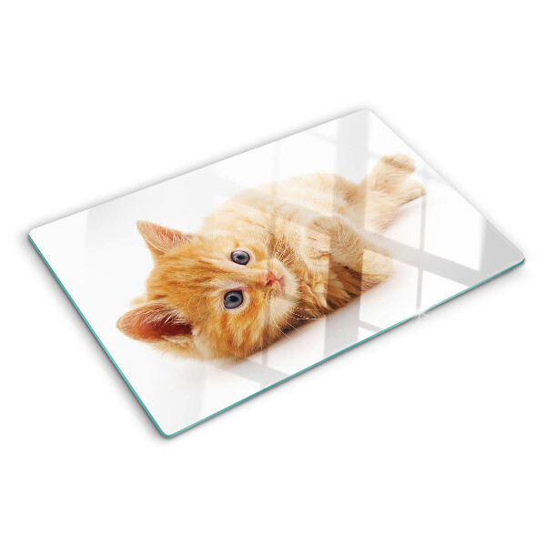 Tabla de cortar de cristal Gatito pelirrojo sobre un fondo blanco