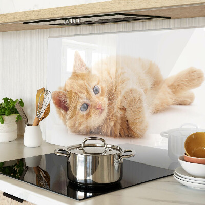 Tabla de cortar de cristal Gatito pelirrojo sobre un fondo blanco