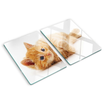 Tabla de cortar de cristal Gatito pelirrojo sobre un fondo blanco