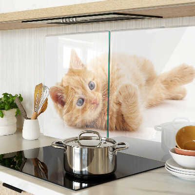 Deska kuchenna szklana Rudy kotek na białym tle