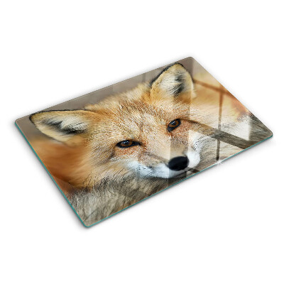 Szklana deska do krojenia Młody rudy lis