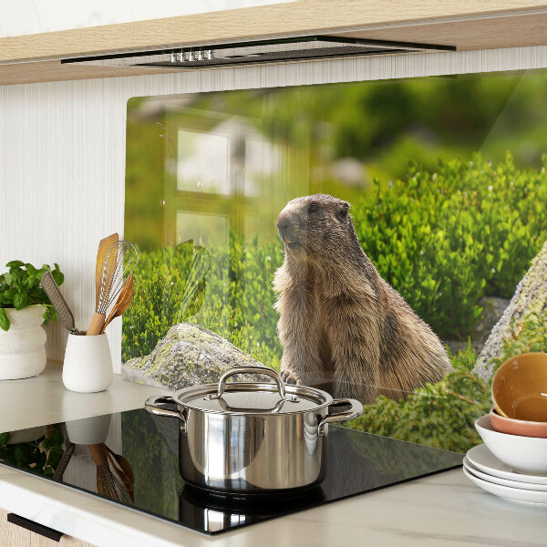 Tabla de cortar de cristal Marmota sobre un fondo de hierba verde