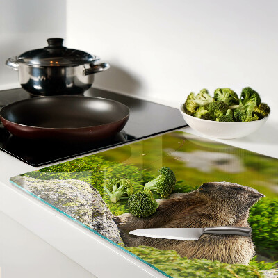 Deska kuchenna szklana Marmot na tle zielonej trawy