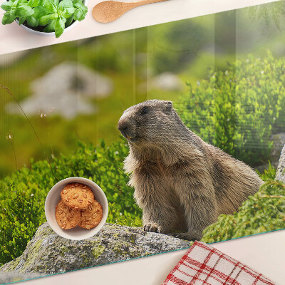 Tabla de cortar de cristal Marmota sobre un fondo de hierba verde