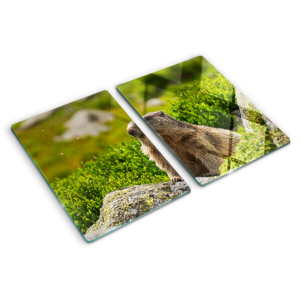 Tabla de cortar de cristal Marmota sobre un fondo de hierba verde