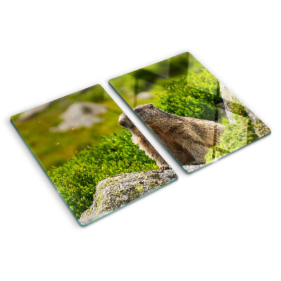 Tabla de cortar de cristal Marmota sobre un fondo de hierba verde
