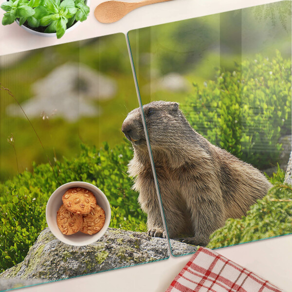 Tabla de cortar de cristal Marmota sobre un fondo de hierba verde