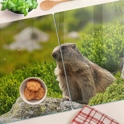 Tabla de cortar de cristal Marmota sobre un fondo de hierba verde