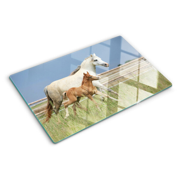 Tabla de cocina Un caballo con un potro en un prado.