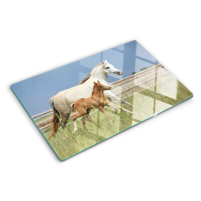 Tabla de cocina Un caballo con un potro en un prado.