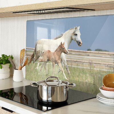 Tabla de cocina Un caballo con un potro en un prado.