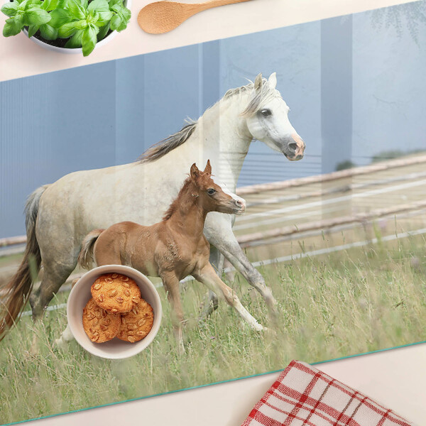 Tabla de cocina Un caballo con un potro en un prado.