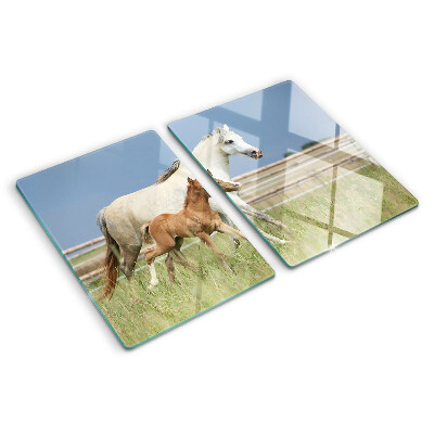 Tabla de cocina Un caballo con un potro en un prado.