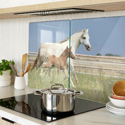 Tabla de cocina Un caballo con un potro en un prado.