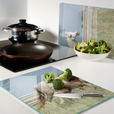 Tabla de cocina Un caballo con un potro en un prado.