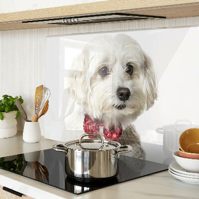 Tabla de cortar Un perro con un suéter con un lazo.