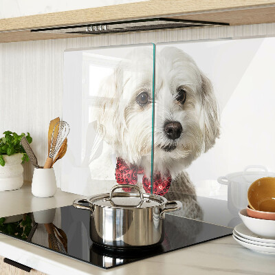 Tabla de cortar Un perro con un suéter con un lazo.