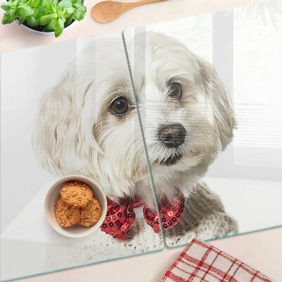 Szklana deska kuchenna Pies w sweterku z kokardą