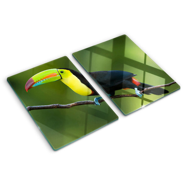 Szklana deska kuchenna Tukan na gałęzi