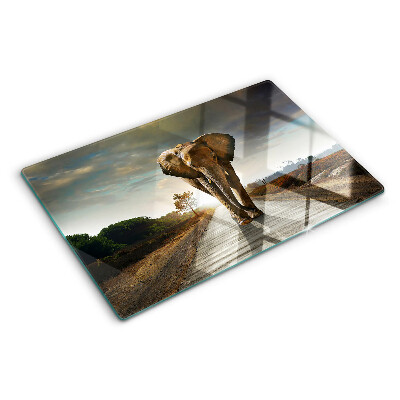 Tabla de cortar de cristal Elefante en la carretera al atardecer