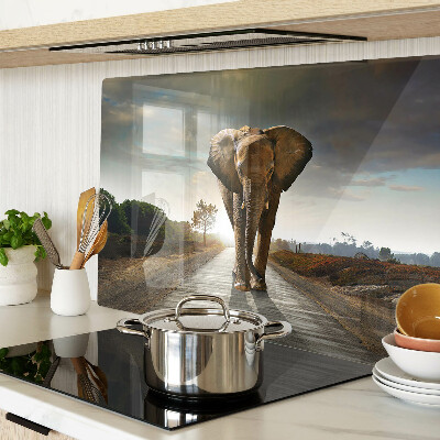 Deska kuchenna szklana Słoń na drodze o zachodzie słońca