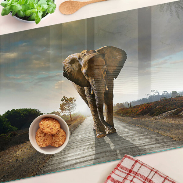 Tabla de cortar de cristal Elefante en la carretera al atardecer