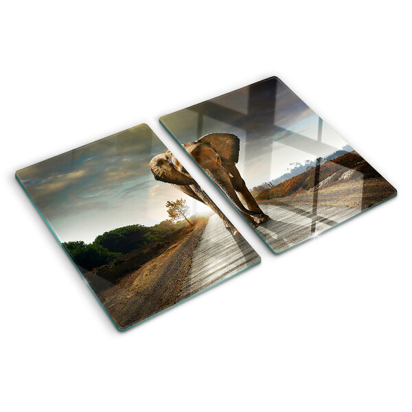 Tabla de cortar de cristal Elefante en la carretera al atardecer