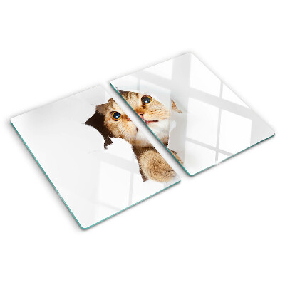 Tabla de cocina Un gato mirando a través de un agujero en la pared.