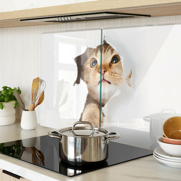 Tabla de cocina Un gato mirando a través de un agujero en la pared.