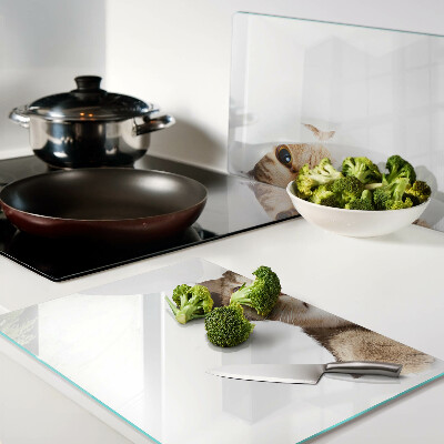 Tabla de cocina Un gato mirando a través de un agujero en la pared.