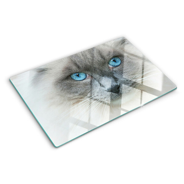 Tabla para cortar Un gato con ojos azules