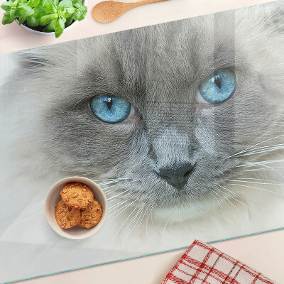 Tabla para cortar Un gato con ojos azules