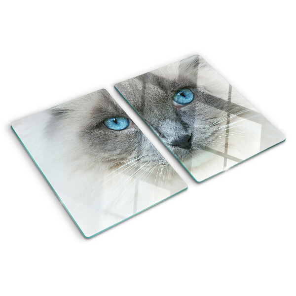 Tabla para cortar Un gato con ojos azules
