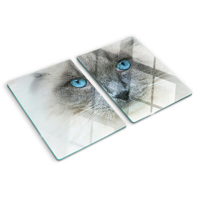 Tabla para cortar Un gato con ojos azules