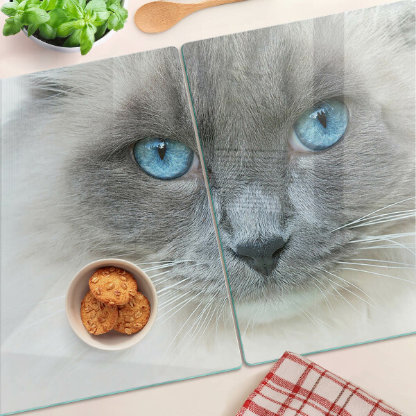 Tabla para cortar Un gato con ojos azules