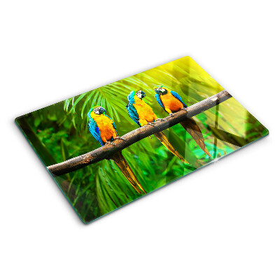 Tabla de cortar de cristal Loros en una rama en los trópicos.
