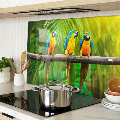 Tabla de cortar de cristal Loros en una rama en los trópicos.