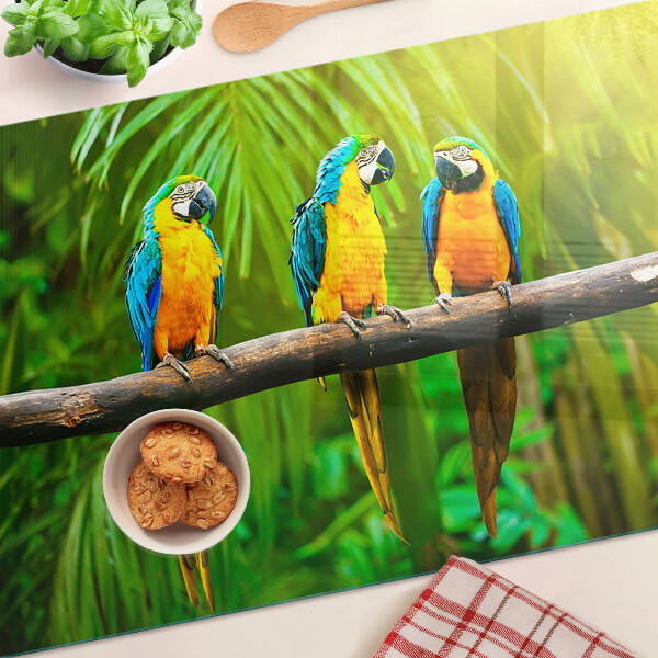 Tabla de cortar de cristal Loros en una rama en los trópicos.