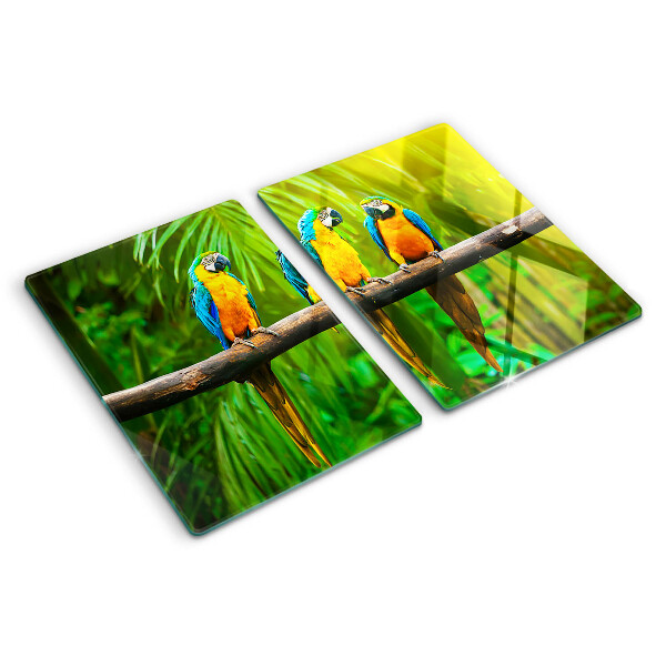 Tabla de cortar de cristal Loros en una rama en los trópicos.