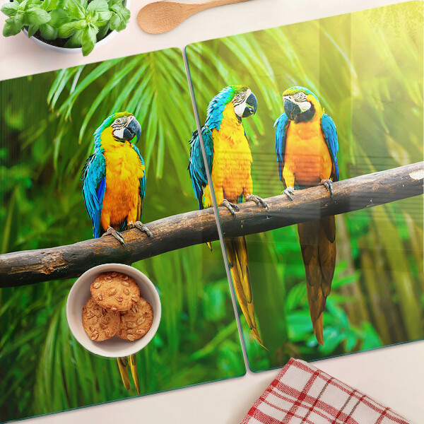 Szklana deska kuchenna Papugi na gałęzi w tropikach