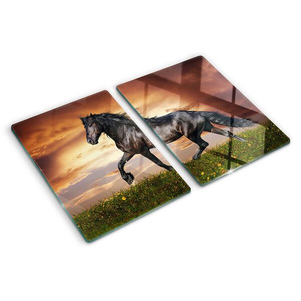 Tabla de cocina Un caballo con el sol poniente como telón de fondo