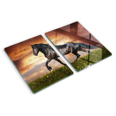 Tabla de cocina Un caballo con el sol poniente como telón de fondo