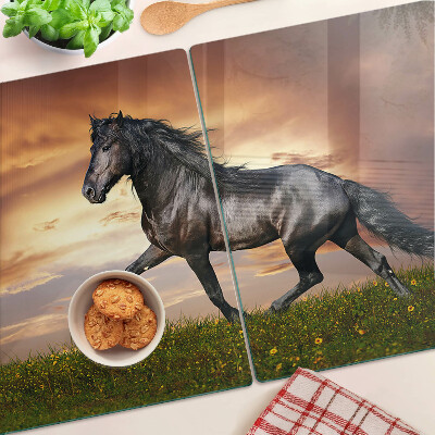 Tabla de cocina Un caballo con el sol poniente como telón de fondo