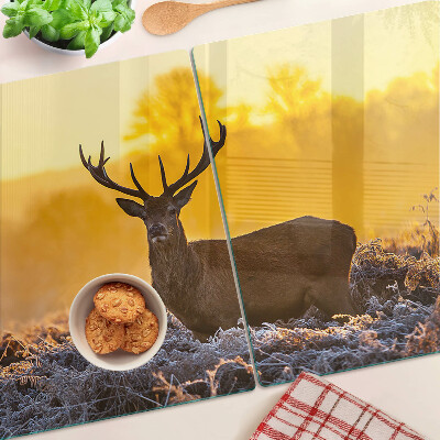 Szklana deska kuchenna Jeleń na tle porannego krajobrazu