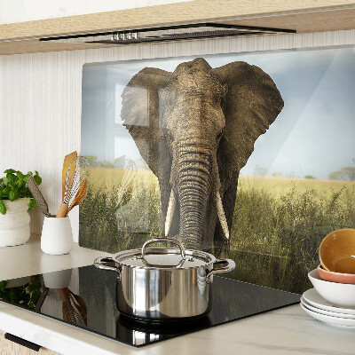 Tabla de cortar de cristal Un elefante con la sabana africana como telón de fondo
